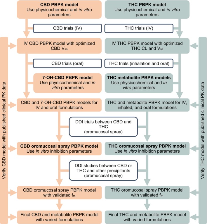 General workflow for cannabidiol (CBD) and delta‐9‐tetrahydrocannabinol (THC) model development. PBPK, physiologically based pharmacokinetic; IV, intravenous; V ss, volume of distribution at steady state; CL, clearance; DDI, drug–drug interaction; PK, pharmacokinetic.