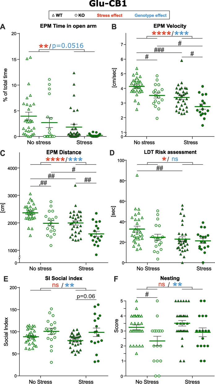 Glu-CB1-KO phenotype. A-C Elevated plus maze (EPM). D Light-dark test (LDT). E Social interaction test (SI). F Nesting test. The effect of experimental factors was evaluated with a two-way ANOVA including an interaction term followed by Tukey’s multiple comparisons test. Asterisks indicate the significance of one of main effects from the two-way ANOVA test: * p˂0.05, ** p˂0.01, *** p˂0.0005, **** p˂0.0001. Number signs indicate the significance of pairwise comparisons: # p˂0.05, ## p˂0.01, ### p˂0.0005. Data represented as mean ±SEM and individual values. WT No Stress/Stress n=29/32, KO No Stress/Stress n=18/17