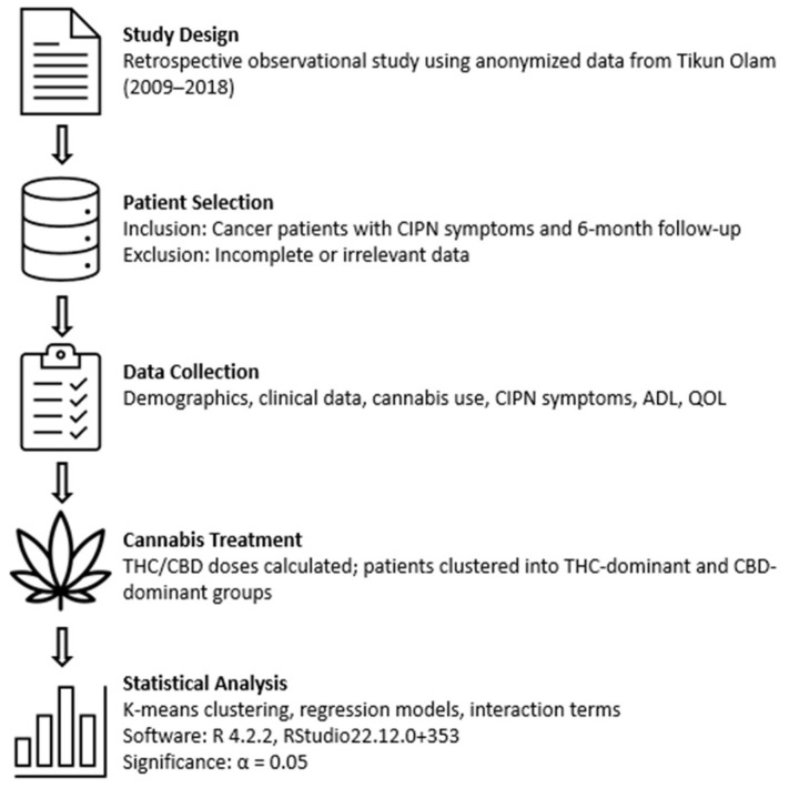 Study methodology flowchart outlining data selection, patient clustering, and statistical analysis.