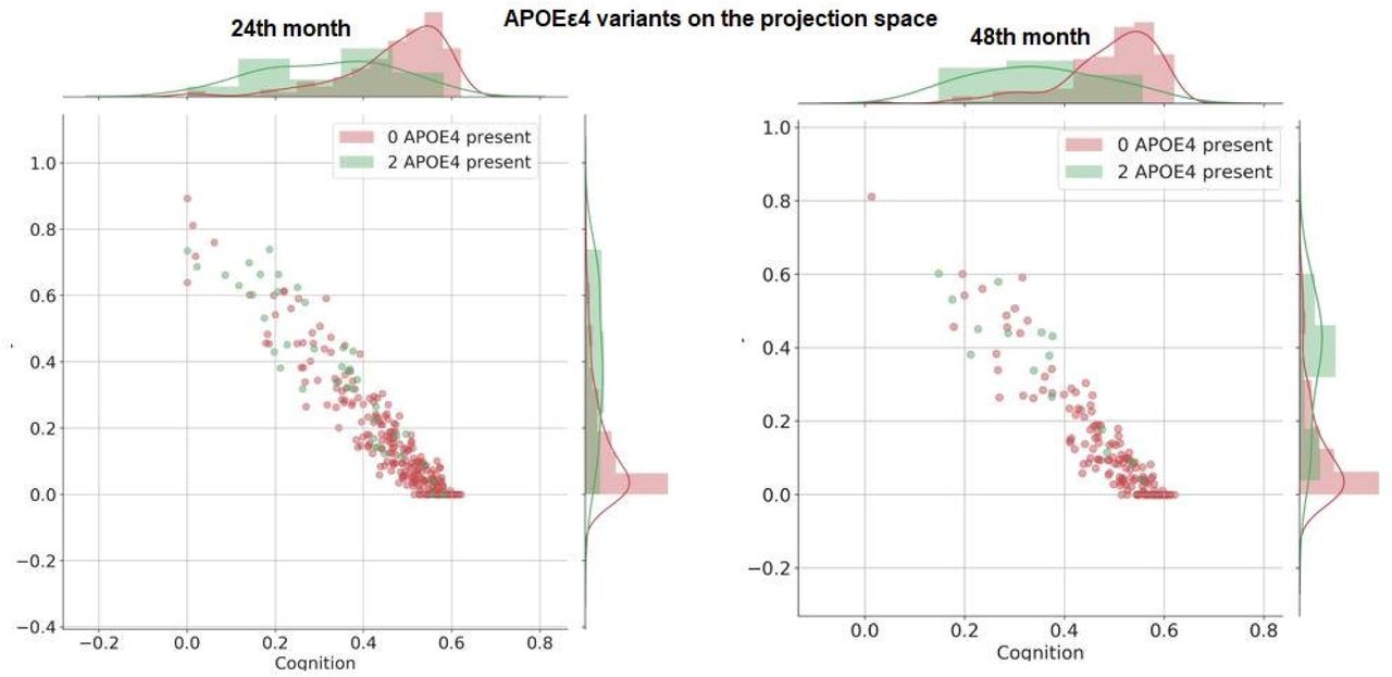Projection of the number of APOEε4 variants on the projection space. x-axis and y-axis have visualizations of the distribution of APOEε4 alleles in those directions.Left: at 24th month. Right: at 48th month.