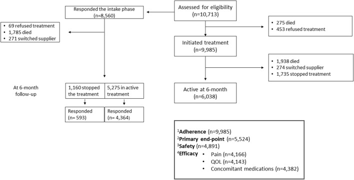 The study population. Detailed description of the patients included into the adherence assessment, primary endpoint assessment, and the safety and effectiveness analysis population. 1Adherence analysis was performed on all patients who initiated treatment. 2Primary end-point analysis was performed on patients who responded the intake questionnaire and: responded to the 6-month follow-up questionnaire and all patients who stopped the treatment. 3Safety analysis was performed on all patients who responded to the side-effect section of the 6-month follow-up questionnaire, both active patients and responders that stopped the treatment. 4Efficacy analysis was performed on patients who answered the specific chapter at the intake session and at the 6-month follow-up questionnaire (active patients only).