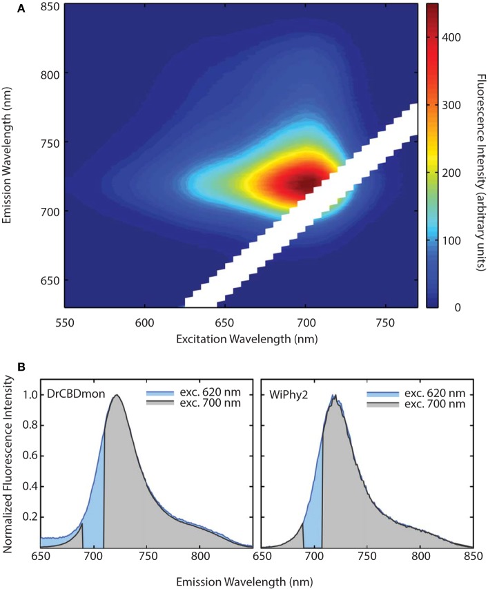 (A) Excitation-Emission Matrix (EEM) for WiPhy2 represents fluorescence as a function of both excitation and emission wavelengths. Fluorescence intensities are corrected with the number of absorbed photons. (B) Two extracted excitation wavelengths (620 nm and 700 nm) are compared for DrCBDmon (left) and WiPhy2 (right).