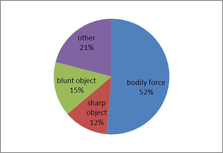 Type of violence used.