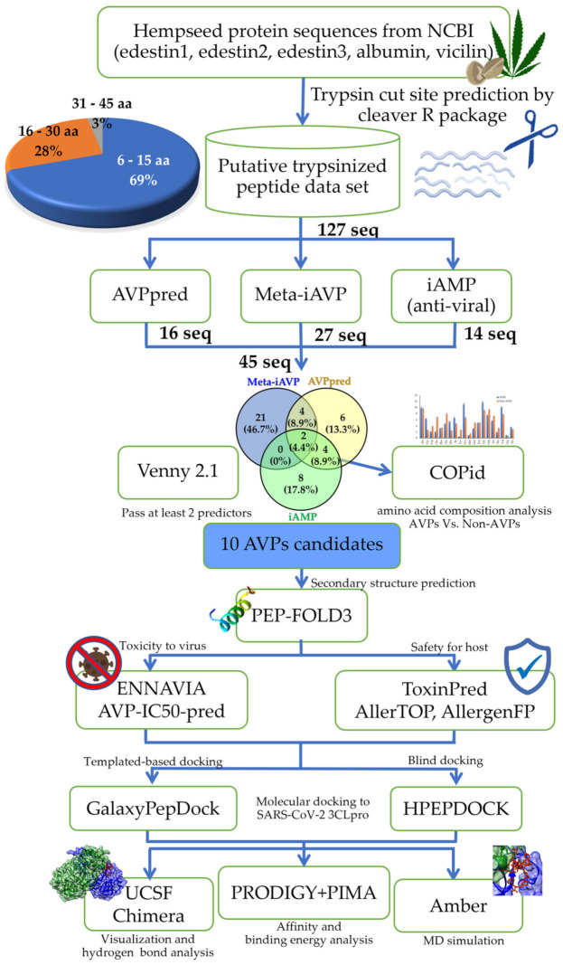 The workflow of the computer-aided virtual screening for the Cannabis sativa antiviral peptides (csAVPs) candidates and the in silico validation of the selected coronavirus 3CL protease inhibitory peptides using molecular docking and molecular dynamic simulation.