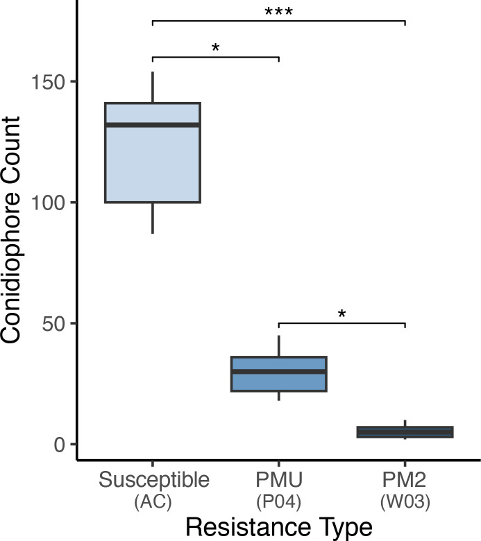 Powdery mildew conidiophore density observed on susceptible genotype AC, PMU resistant genotype P04, and PM2 resistant genotype W03. Values indicate mean number of conidiophores observed per 3.8 square mm of leaf surface. Conidiophores were counted in 6 plants per genotype in leaf samples collected from PM infected areas. replicates per genotype type. Asterisks denote level of significance between groups [Kruskal-Wallis test, X 2 (2, 27) = 23.15 with Dunn’s post-hoc test and Bonferroni correction (P*< 0.05, P***< 0.001)]. Centre line within boxes denote the median of the distribution, with box bottom and top lines indicating the first and third quartiles respectively. The upper and lower whiskers extending from boxes indicate the highest and lowest data points within each distribution respectively.