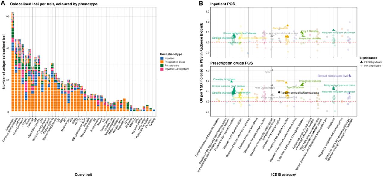 | Colocalisation of cost-associated loci with complex traits and disease outcomes.(A) Tile plot showing colocalisation between independent autosomal loci identified in the four healthcare cost GWAS and 45 selected complex traits. The x-axis lists the queried traits, ordered by the total number of colocalising loci, and the y-axis indicates the number of unique colocalised loci. When the same locus colocalises with a given trait across multiple cost phenotypes, the corresponding tile is partitioned by colour according to the cost phenotype.(B) Associations between PGS for inpatient costs (top) and prescription drug costs (bottom) and first occurrence of 172 different disease events defined by ICD-10 codes in the China Kadoorie Biobank. Effect estimates are shown per one standard deviation increase in PGS. Associations surviving FDR correction are highlighted.