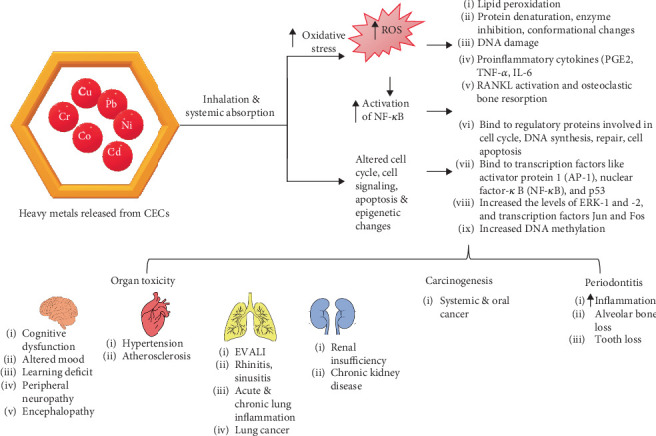 Health implications of metals released from cannabis vapes.