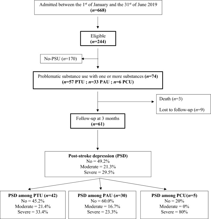 Study flow-chart. PAU Problematic Alcohol Users, PCU Problematic cannabis users, PSU Problematic Substance Users, PTU Problematic Tobacco Users.