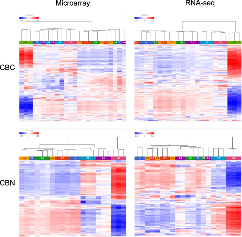 Hierarchical clustering analysis (HCA) of the microarray and RNA-seq data for CBC and CBN. Samples (in triplicate, except for the 0.1 μM CBC group which was in duplicate) were clustered as columns and color-coded by concentration as indicated below the dendrograms. The scheme of z-scores is shown at the top left corner of each map