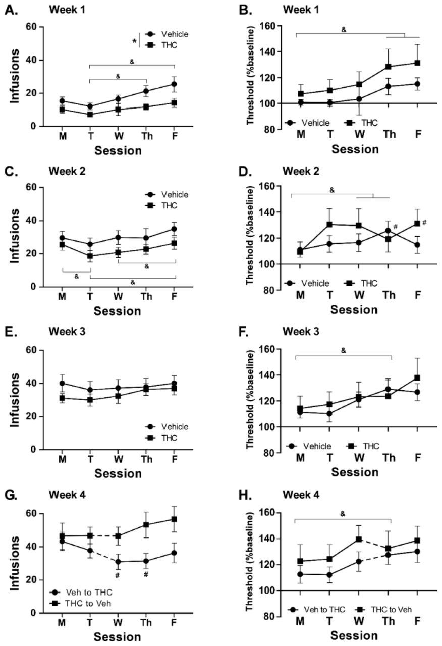 Mean (±SEM) infusions obtained during Weeks 1-4 (A, C, E, G). Mean (N=8 per group Weeks 1-3, N=8 THC to Veh Week 4; ±SEM) ICSS thresholds (as a % of baseline) obtained in Weeks 1-4 (B, D, F, H). The dotted line indicates a switch in the pre-session treatment condition. A significant effect of Group is indicated with *, a significant difference between sessions, collapsed across group, is indicated with &, and a significant difference from Monday, within group with #.