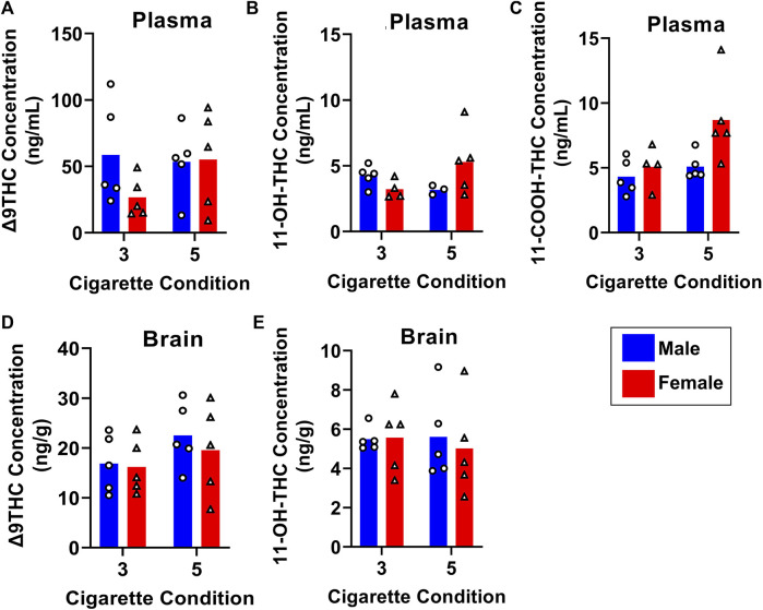 Effects of dose on Δ9THC and its metabolite concentrations in young adult C57BL/6J mice (Experiment 3). Mice were exposed to smoke from burning either 3 or 5 cannabis cigarettes, followed by sample collection 40 min post-smoke exposure. There were no effects of Sex or Dose on Δ9THC and 11-OH-THC in either plasma or brain (A, B, D, E). Females had significantly higher plasma 11-COOH-THC concentrations compared to males, and the 5-cigarette dose yielded significantly higher 11-COOH-THC concentrations in all mice (C).