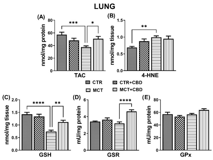 The influence of monocrotaline (MCT)-induced pulmonary hypertension and cannabidiol (CBD) or its vehicle on redox balance parameters in rats’ lungs. Total antioxidant capacity, TAC (A); 4-hydroxyhexenal, 4-HNE (B); reduced glutathione, GSH (C); glutathione-disulfide reductase, GSR (D); glutathione peroxidase, GPx (E). CBD 10 mg/kg or its vehicle were injected i.p. every 24 h for 21 days. Data are presented as mean ± SEM, (n = 5–7 per group); * p < 0.05, ** p < 0.01, *** p < 0.001 and **** p < 0.0001, compared to the respective group.