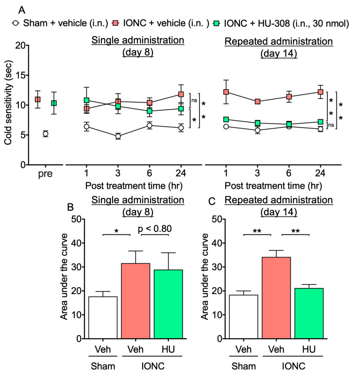 Effect of intranasal administration of HU-308 on cold hypersensitization in IONC mice. (A) The responsiveness to acetone was assessed at 1, 3, 6, and 24 h following a single and repeated intranasal administration of HU-308 (30 nmole, 10 µL, i.n.). The area under the curve was determined from the acetone test data following either single (B) or repeated (C) intranasal administration and compared. Individual data and mean ± SEM are shown. N = 5 (A); * p < 0.05, ** p < 0.01; n.s., not significant (two-way RM ANOVA followed by Tukey’s multiple comparisons test). (B,C) * p < 0.05, ** p < 0.01 (one-way ANOVA followed by Tukey’s multiple comparisons test).
