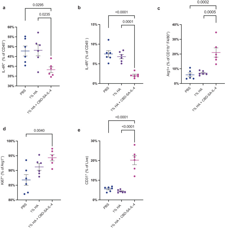 CBD-SA-IL-4 (100 µg/ mL) induces M2 macrophage proliferation and angiogenesis in the wounds.a IL-4Rα+ cells as a percent of CD45+ cells. b IL-4Rα+ cells as a percent of CD45− cells. c M2 macrophages (Arg1+) as a percentage of total macrophages (CD11b+ F4/80+). d Proliferative (Ki67+) M2 macrophages as a percentage of total M2 macrophages. e Angiogenic cells (CD31+) as a percentage of live cells. Statistics: a–e Ordinary one-way ANOVA with Tukey multiple comparison between all groups. *p < 0.05, **p < 0.01, ***p < 0.001 (all groups n = 6; mean ± SEM).