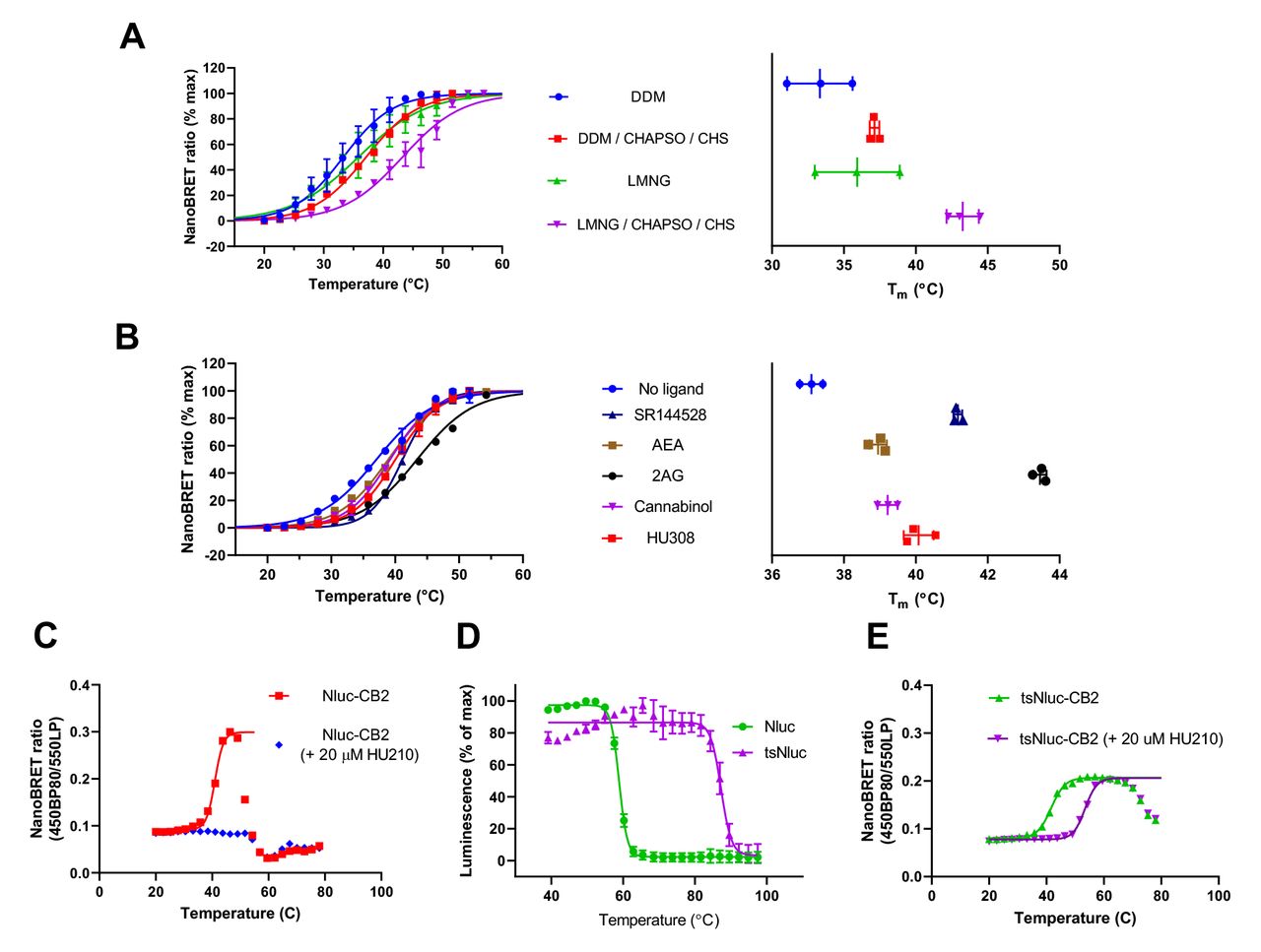ThermoBRET measurements in different detergent conditions and with stabilising ligands, demonstrating superior performance of tsNluc over Nluc for high thermostability situations.ThermoBRET thermostability curves and pooled Tm measurements for (A) Nluc-CB2 solubilised in the indicated detergent conditions. (B) in DDM/CHAPSO/CHS, in the presence/absence of ligands. (C) ThermoBRET curve for Nluc-CB2 solubilised in DDM/CHAPSO/CHS, showing that the curve for the receptor bound to HU210 cannot be fitted as it is stable beyond the point of Nluc stability. (D) Luminescence thermostability curves of purified Nluc and tsNluc. (E) ThermoBRET using tsNluc-CB2 in the presence/absence of HU210, showing a full fit for both curves. (A) and (B) show pooled normalised data showing mean ± standard deviation for the number of experimental replicates evident in the far-right graph (n≥2). (C) and (E) are raw fitted data from a single experiment performed 3 times. (D) is pooled normalised data from 3-independent experiments.