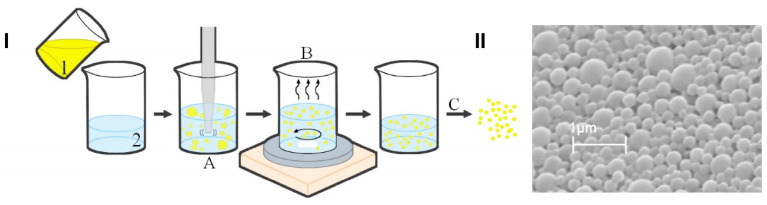 Scheme of the preparation method of PLGA-based NPs loaded with the ETO–CBD combo (I); scanning electron microscopy microphotograph of ETO+CBD-NPs (II); 1—organic phase (ETO, CBD, and PLGA dissolved in dichloromethane), 2—aqueous phase (2% PVA), A—homogenization, B—solvent evaporation, C—lyophilization.