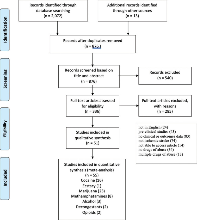Flow diagram showing study selection process.