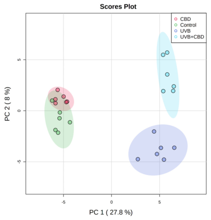 Two-dimensional principal component analysis (2D PCA) scores plots of the relative abundance of phospholipid species related to the internal standard of each phospholipid class in keratinocytes isolated from the skin of control (Control) and UVB-irradiated rats (increasing doses from 0.02 to 2 J/cm2 for 4 weeks). These cells have not been treated (Control and UVA) or treated with CBD (CBD and UVA + CBD) (2.5 g CBD in 100 g petrolatum).