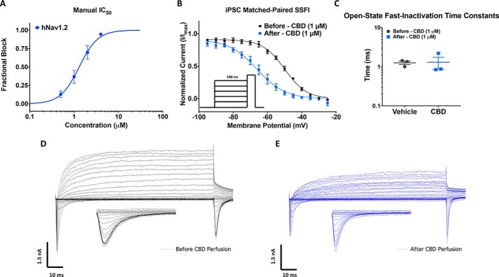 CBD inhibits human iPSC neuronal Nav and Kv currents. A, concentration-response relationship for CBD inhibition of hNav1.2 channels obtained using manual patch clamp (IC50 = 1.3 ± 0.1 μm, slope = 2.1 ± 0.4, n = 3–6). B, plot of normalized SSFI after a 100 ms prepulse before (V½ = −50.0 ± 0.4 mV, slope = 6.4 ± 0.4, n = 3) and after (V½ = −66.1 ± 0.7 mV, slope = 8.1 ± 0.6, n = 3) perfusion. C, open-state fast-inactivation time constants shown on log scale on the y axis at −20 mV for vehicles (−20 mV: 1.3 ± 0.1 ms, n = 3) and CBD (−20 mV: 1.3 ± 0.4 ms, n = 3) in iPSC neurons. D and E, representative current-voltage relationship recorded from iPSC neurons with a KF based internal solution before 1 μm perfusion of CBD (D) and after perfusion (E). Insets in the panel are zoomed-in view of currents at the test pulse used to assess availability.