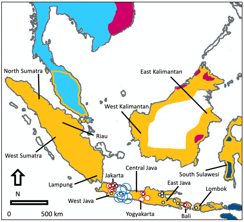 Distribution of myna species in parts of Southeast Asia (including areas where they are newly established) and animal market survey effort plus the locations of all provinces mentioned in the text. Dark blue: pale-bellied myna; light blue: common myna; purple: crested myna; yellow: Javan myna. Small black circle: animal market that was surveyed between three and five times, intermediate red circle: animal markets that were surveyed between six and fifteen times; large blue circle: animal markets that were surveyed sixteen times or more.