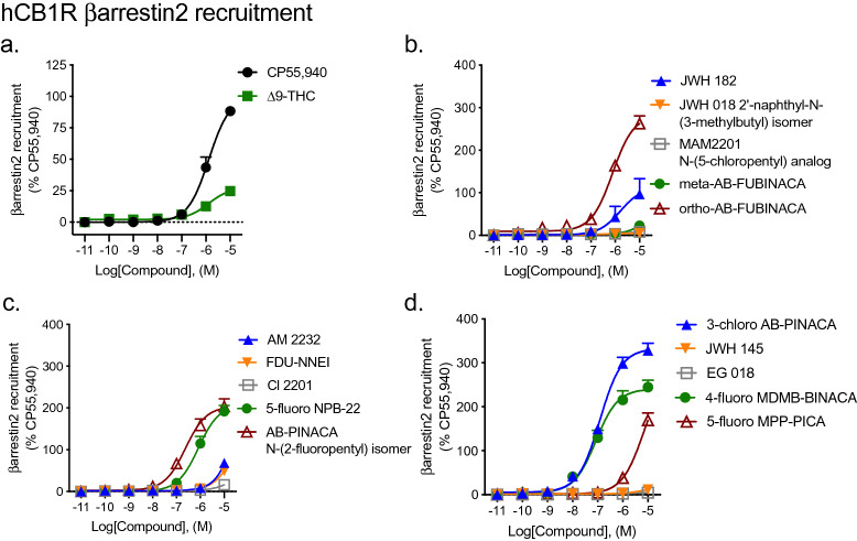 βarrestin2 recruitment to CB1R following SCRA treatment. CHO cells stably-expressing hCB1R were treated with 0.10 nM–10 μM SCRA 90 min and βarrestin2 recruitment was measured. βarrestin2 recruitment data are expressed as % CP55,940 response. Data were fit to a nonlinear regression (four parameter model, GraphPad v. 8) for statistics in Table 1; or fit to the operational model to calculate bias (Fig. 5). Data are mean ± S.E.M. n ≥ 6 independent experiments performed in triplicate. Note the difference in y-axis scale between (a) and all other panels.