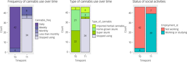 Bar chart illustrating changes in frequency of use, type of cannabis used and working/studying status between T0 and T1.