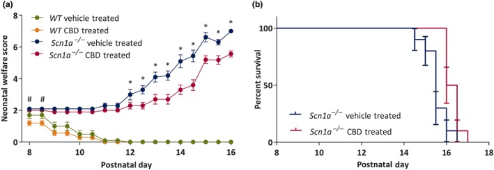 Plots showing chronic administration of CBD to wild‐type (WT) and Scn1a −/− mice on neonatal welfare (TNW) score and survival. (A) Neonatal welfare score. CBD significantly improved the TNW score in WT mice from P8 to P8.5 compared to the vehicle‐treated WT mice. CBD significantly improved the TNW score in Scn1a −/− mice from P12 onwards compared to the vehicle‐treated Scn1a −/− mice. Data are expressed as mean ± SEM; data were analysed by a three‐way ANOVA with Bonferroni's post hoc test; # P < .05; *P < .05; #represents WT vehicle‐treated versus WT CBD‐treated; *represents Scn1a −/− vehicle‐treated versus Scn1a −/− CBD‐treated. (b) Survival. CBD treatment significantly (P < .05) increased survival compared to the vehicle‐treated Scn1a −/− group. Error bars are SEM; data were analysed by Mantel–Cox test