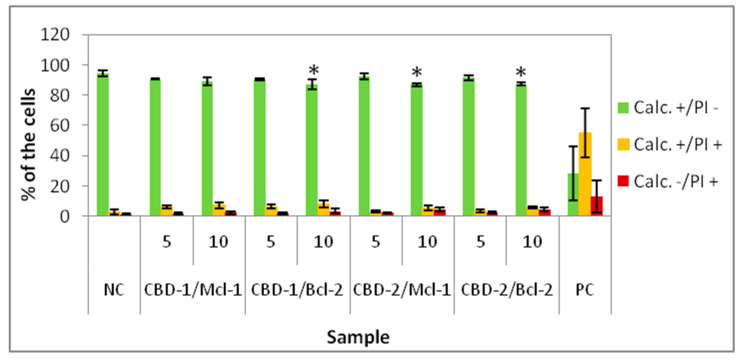 Percentage of 3D cultured cells Calc+/PI−, Calc+/PI+ and Calc−/PI+ after 24 h exposure to dendriplexes. Dendrimers concentrations: 5 and 10 μM; CBD/siRNA molar ratio 20:1. * p < 0.05 vs. NC for group Calc+/PI−. n = 6.