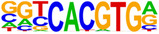 PHY2-12-e70059-g004.jpg