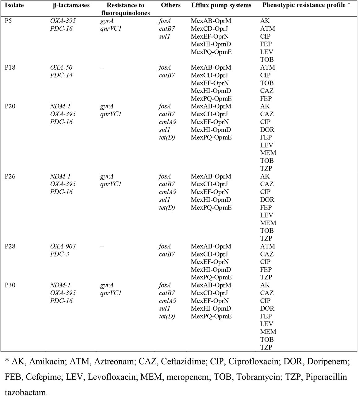 Overview for resistance genes of MDR isolates of P. aeruginosa.All isolates were predicted to encode the aminoglycoside-modifying enzyme APH(3’)-IIb.