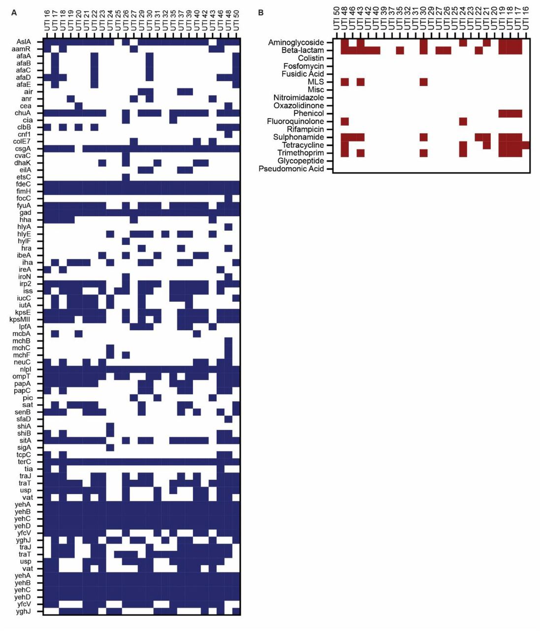 Extended virulence factors and antibiotic resistance markers for primary patient UPEC isolates.(A) Virulence factors were determined for each strain (VirulenceFinder 2.0.5), with blue squares indicating presence of a given gene. (B) . Antibiotic resistance was also identified computationally (ResFinder 4.7.2), with maroon squares indicating resistance for a given antibiotic. (MLS = Macrolides, lincosamides, streptogramins).
