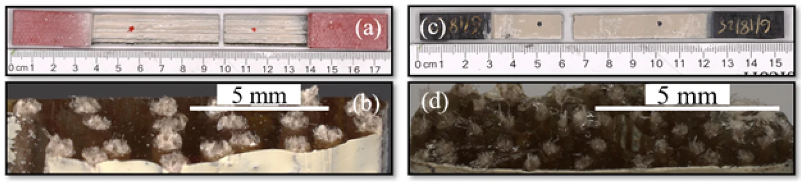 Tensile tested specimen and fracture surface under optical microscope for (a,b) hemp fiber composites and (c,d) flax fiber composites.