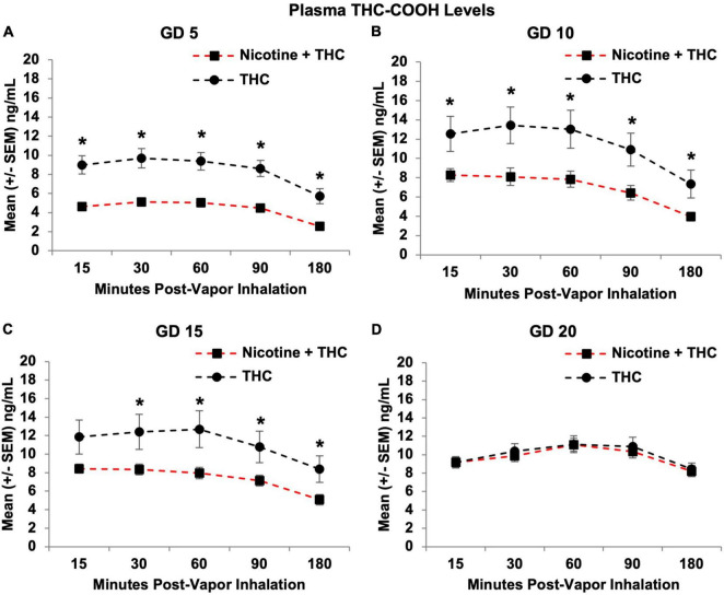 Pregnant dams exposed to the combination of Nicotine + THC had lower THC-COOH metabolite levels than those exposed to THC alone on gestational days 5 (A), 10 (B), and 15 (C). However, this effect was not seen by the last day of vapor inhalation (D), as metabolite levels gradually rose in both exposure groups. *Nicotine + THC < Nicotine, p < 0.05.