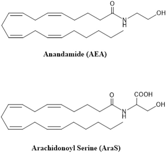 Structure of the compounds.