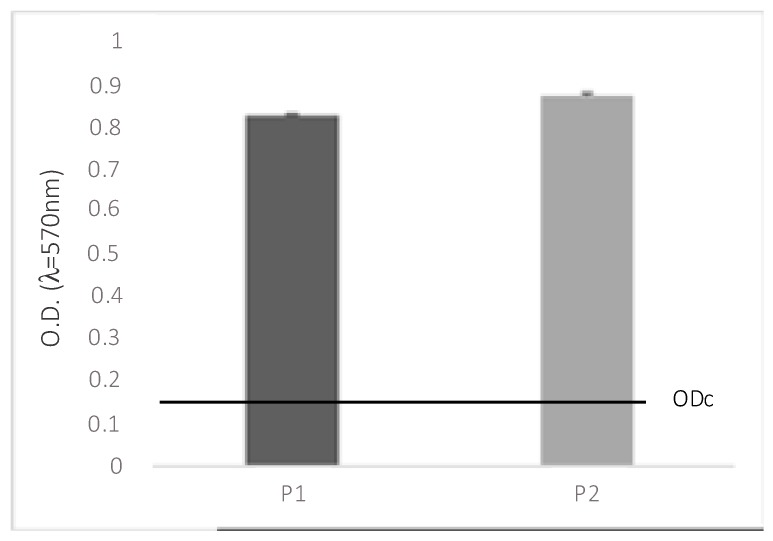 Total biomass of microbial biofilms on soft contact lenses. Negative (OD ≤ ODc), weak (ODc ≤ OD ≤ 2.ODc), moderate (2.ODc < OD ≤ 4.ODc), and strong biofilm production (4.ODc < OD). OD = optical density; P1 = P. aeruginosa ATCC 9027; P2 = P. aeruginosa clinical strain.