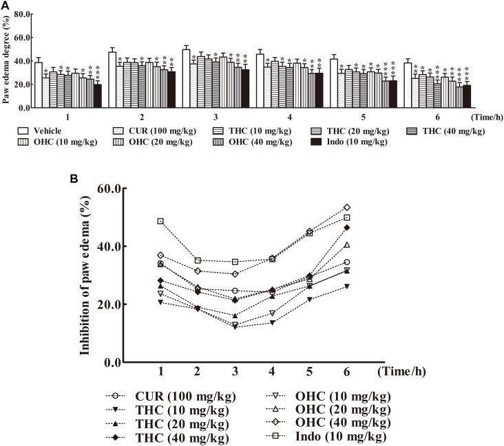 Effects of THC and OHC on the carrageenan-induced paw edema in mice. (A) Paw edema degree was measured using the toes swelling measuring instrument and was represented as the mean ± S.E.M. (n = 10). (B) Suppression of paw edema (%) was calculated as the ratio of the mean paw size increase of THC and OHC treatment groups (%) over the vehicle control group (%).vs. the vehicle control. Significant differences between groups were determined by ANOVA and Dunnett’s post hoc test. Data were expressed as means ± S.E.M. (n = 10), ∗p < 0.05, ∗∗p < 0.01, ∗∗∗p < 0.001 vs the vehicle control.