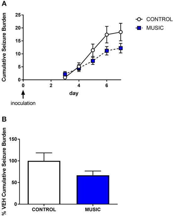Evaluation of the effects of music treatment on handling-induced seizures in the TMEV model of acquired epilepsy. Groups of mice (N = 10) were exposed to either control conditions or music for a 3-week period prior to inoculation with TMEV. Daily handling sessions occurred during day 3—day 7 post-inoculation wherein seizures were scored (Racine scale). The cumulative seizure burden during this time is shown in (A). The final cumulative seizure burden, expressed as a percentage of control-treated animals, is shown in (B). Groups were compared by a Mann-Whitney U-test.