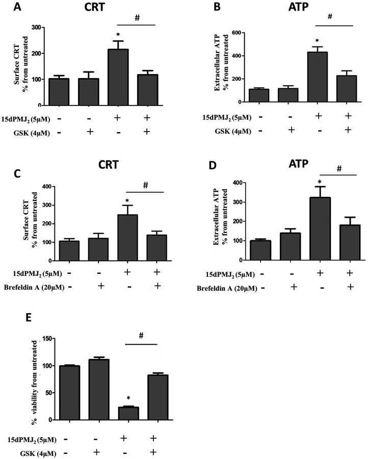 ER stress is required for 15dPMJ2-induced DAMP expression.(A and B) B16F10 cells were pre-treated for 1 hour with 4 μM GSK2606414 (GSK) or vehicle (0.1% DMSO) and then treated with 5 μM 15dPMJ2 or vehicle. (A) Cell surface calreticulin (CRT) was measured by conducting flow cytometry analysis on cells that were treated for 2 hours. (B) Extracellular ATP levels were measured after 4 hours using the CellTiter-Glo 2.0 assay kit. (C and D) B16F10 cells were pre-treated with 20 μM Brefeldin A or vehicle (0.1% DMSO) for 1 hour and then treated with 5 μM 15dPMJ2 or vehicle. (C) Cell surface CRT expression was measured by performing flow cytometric analysis after 2 hours of treatment. (D) Extracellular ATP was measured in cells that were treated for 4 hours. (E) B16F10 cells were pre-treated for 1 hour with 4 mM GSK or vehicle and then treated with 5 μM 15dPMJ2 or vehicle. Cell viability was evaluated by conducting MTS assays after 24 hours of treatment. Sample values are displayed as the percentage viability from untreated cells (% viability from untreated). The data represent the mean ± SEM of three independent experiments. * p < 0.05, sample compared to vehicle-treated cells; # p < 0.05, sample compared to 15dPMJ2.