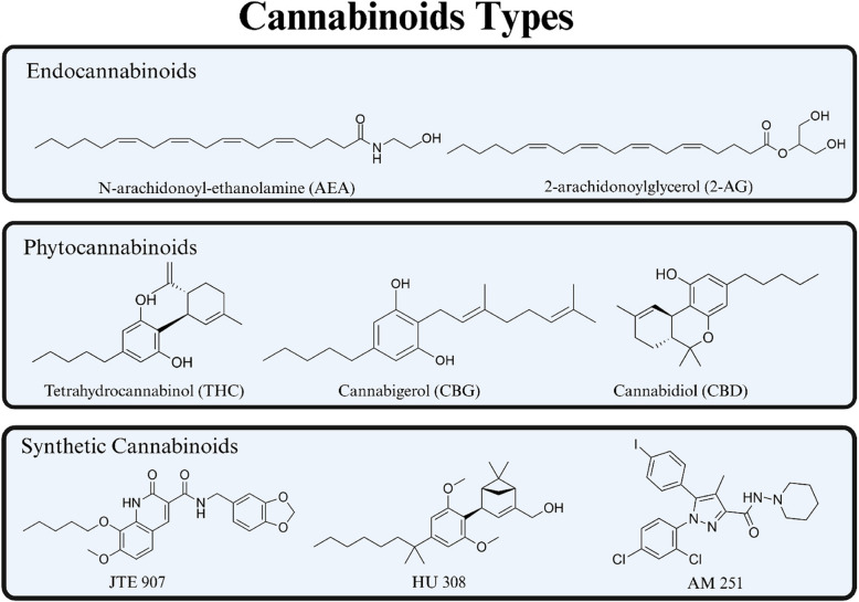 Types of cannabinoids and representative structures. This figure illustrates the three types of cannabinoids: endocannabinoids, AEA and 2-AG, which are naturally produced in the body; phytocannabinoids, CBD, CBG, and THC, from Cannabis sativa; and synthetic cannabinoids, AM 251, HU 308, and JTE 907, which are lab-made for research and therapy. Each type interacts uniquely with the endocannabinoid system