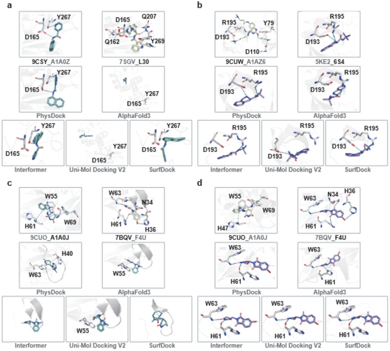 Representative cross-docking cases comparing the predicted binding modes from various models, including PhysDock, AlphaFold3, Interformer, Uni-Mol Docking V2, and SurfDock, with the ground truth. Each case involves docking a ligand from one protein structure into a different protein structure that was resolved in complex with another ligand.