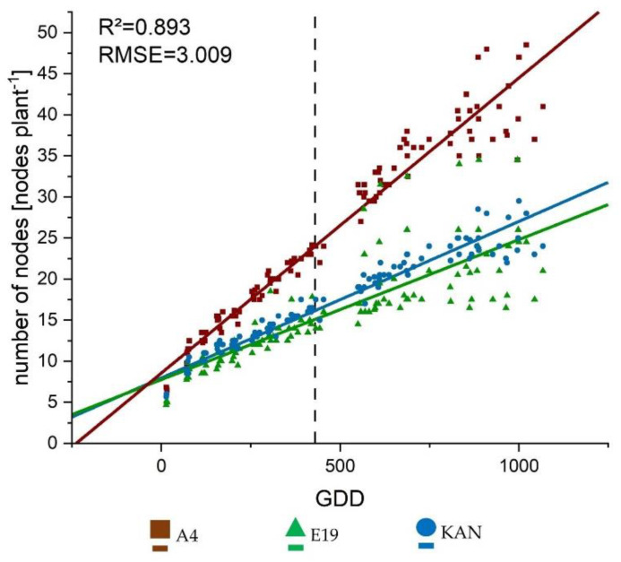 Growth curves fitted to the data collected from the weekly surveys for number of nodes per plant using the linear Equation (3). The lines display the calculated growth trajectory, the respective symbols stand for the mean values of the respective treatment per growing degree day (GDD). The vertical dashed line represents the conversion from long to short day.