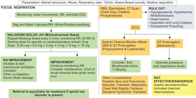 Management of opioid overdosea. aRR, respiratory rate; CO2, carbon dioxide; ECG, electrocardiogram