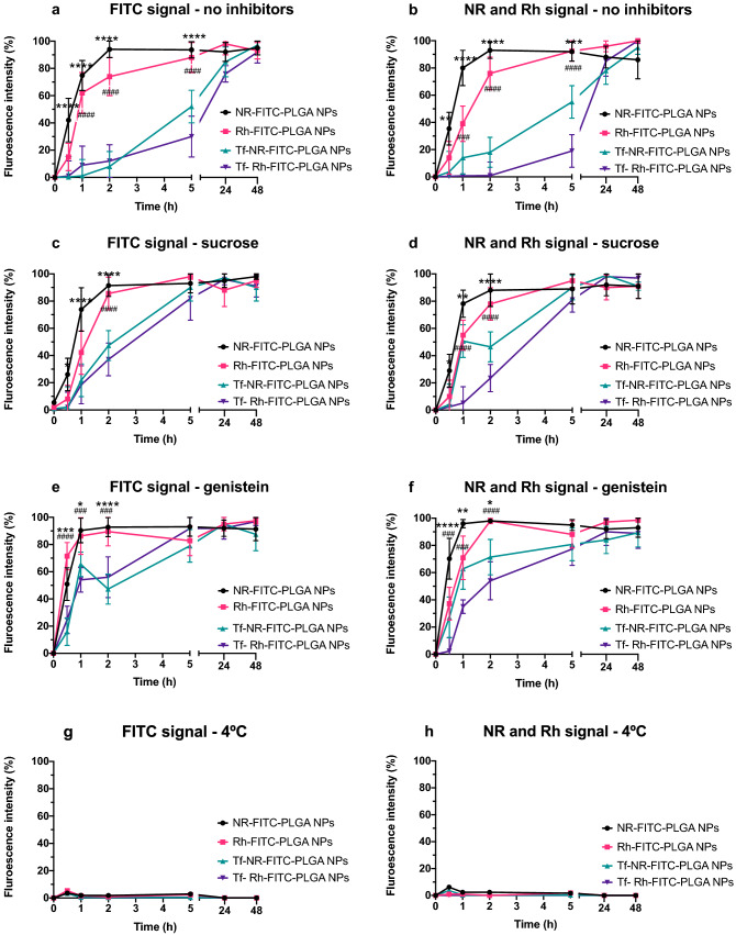 Flow cytometry analysis of NPs uptake under the different conditions assayed. (a,c,e,g) present the fluorescence intensity collected in the green channel under the different conditions assayed: (a) no uptake inhibition; (c) clathrin-dependent endocytosis inhibition (sucrose); (e) caveolae-dependent endocytosis inhibition (genistein); and (g) energy-dependent uptake inhibition (4 °C) respectively, representing the fluorescence intensity due to FITC associated to the polymer in NPs, and thus associated to the presence of NPs. (b,d,f,h) show the corresponding fluorescence intensity obtained in the red channel for the lipophilic fluorophore (NR) and the hydrophilic fluorophore (Rh), associated to the uptake of either lipophilic or hydrophilic molecules encapsulated in the NPs under the different conditions of uptake inhibition assayed. Statistically significant differences in fluorescence intensity (%) values between plain NR-FITC-PLGA NPs and Tf- NR-FITC-PLGA NPs are highlighted as *p < 0.0332; **p < 0.0021; ***p < 0.0002; ****p < 0.0001. Statistically significant differences in fluorescence intensity (%) values between plain Rh-FITC-PLGA NPs and Tf- Rh-FITC-PLGA NPs are highlighted as #p < 0.0332; ##p < 0.0021; ###p < 0.0002; ####p < 0.0001.