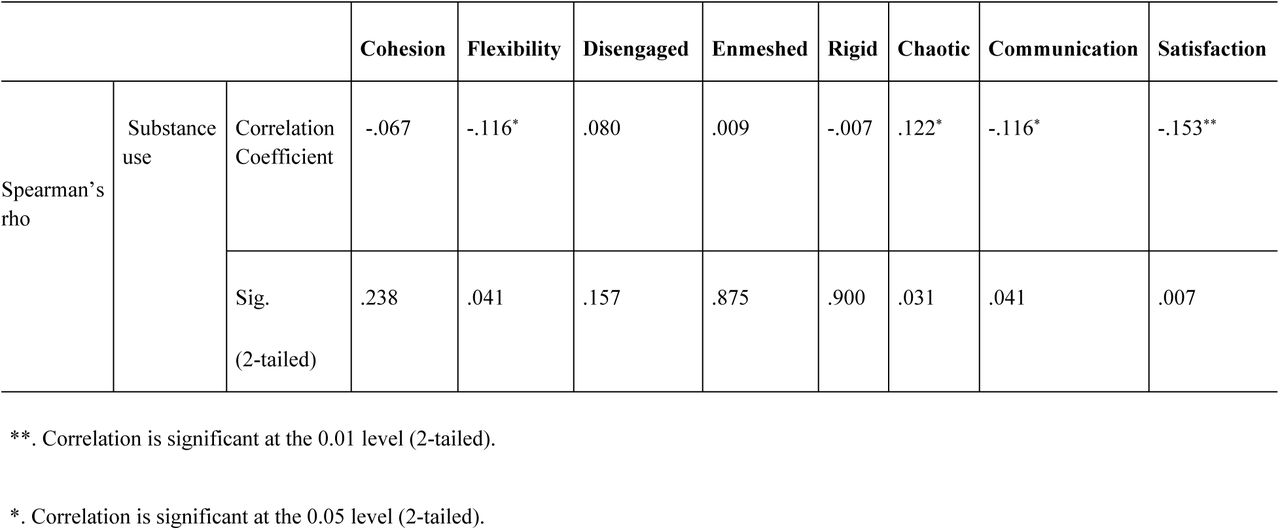Family functioning profile according to the substance use status