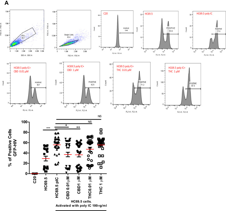 (A) HC69.5. HIV (GFP+) cells were treated with 100 μg/ml poly IC and different concentrations of Δ (9)-THC or CBD (0.01 and 1 μM). Cells were incubated overnight and were fixed using the Fixation and Permeabilization Solution Kit (Cat. No. 554715). Flow cytometry analysis was performed to detect the HIV infection by expressing GFP-positive cells. Immortalized human microglia cells (C20) (HIV-; GFP-) were used as untreated and uninfected control. Results were expressed as percentage of positive cells. Experiments were performed at least three times in replicates. GraphPad Prism 5 software was used to graph and conduct statistical analysis. The normality distribution was evaluated by Kolmogorov–Smirnov test, while statistical significance (p ≤ 0.05) was calculated by ANOVA and Dunns as a post-hoc test. (B) HC69.5. HIV (GFP +) cells were treated with different concentrations of Δ (9)-THC or CBD (0.01 and 1 μM). Cells were incubated overnight and were fixed using the Fixation and Permeabilization Solution Kit (Cat. No. 554715). Flow cytometry analysis was performed to detect the HIV infection by expressing GFP-positive cells. Immortalized human microglia cells (C20) (HIV−; GFP−) were used as untreated and uninfected control. Results were expressed as number of positive cells. Experiments were performed at least three times in replicates. GraphPad Prism 5 software was used to graph and conduct statistical analysis. The normality distribution was evaluated by Kolmogorov–Smirnov test, while statistical significance (p ≤ 0.05) was calculated by ANOVA and Dunns as a post-hoc test. (C) LTR gene expression on HC69.5. HIV (GFP+) cells was assessed by RT PCR. H69.5 cells treated with/without 100 μg/ml poly IC, 1 μM concentration of CBD or Δ (9)-THC as figure is showing. After 24 h of treatments, RNAs were extracted, and reverse transcribed followed by real time PCR for LTR gene (HIV LTR Pa03453409_s1; Thermofisher Scientific). GAPDH (Hs99999905_m1) was used as a housekeeping gene. Data represent the means ± standard error of three independent experiments. Graph represents the transcript accumulation index respect to negative control C20. Data were analyzed using GraphPad Prism software. The normality distribution was evaluated by Kolmogorov–Smirnov test, while statistical significance was calculated by ANOVA and Dunns Multiple Comparison Test as a post-hoc test. Differences were considered significant at p ≤ 0.05.
