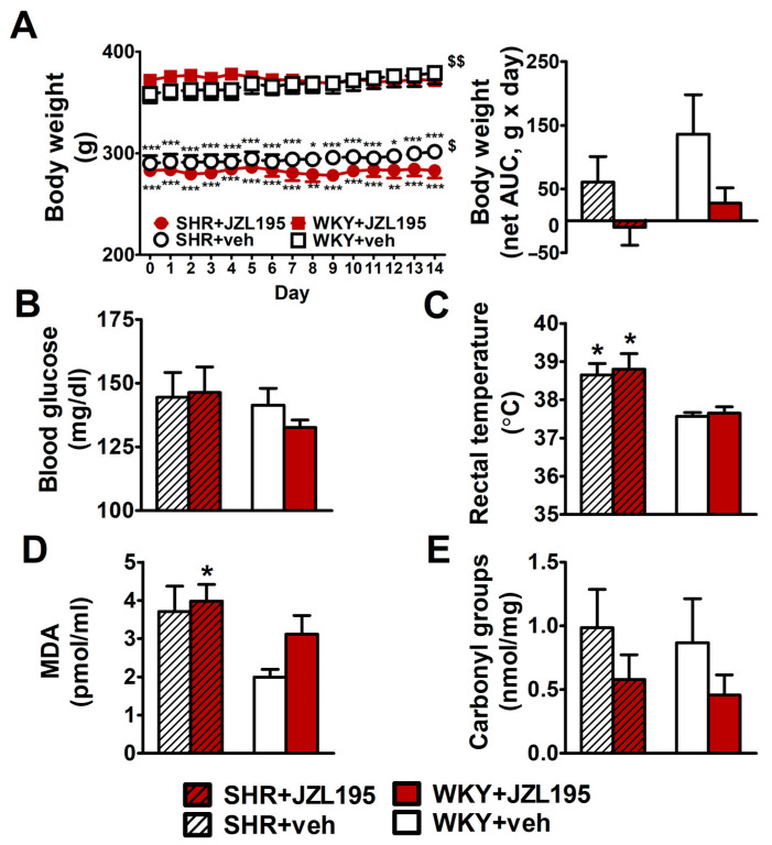 Influence of chronic administration of JZL195 (10 mg/kg, once daily, for 14 days) or its vehicle on body weight (A), blood glucose level (B), rectal temperature (C), plasma malondialdehyde (MDA)-protein adducts (D) and carbonyl groups that are created by the oxidation of proteins (E) in spontaneously hypertensive rats (SHR) and normotensive Wistar Kyoto rats (WKY). Body weight was measured once daily during the whole experiment and the other parameters were measured at the end of the study. Data are expressed as the means ± SEM of six rats per group; * p < 0.05; ** p < 0.01; *** p < 0.001 vs. normotensive control group (WKY + veh). $ p < 0.05; $$ p < 0.01 vs. day 0.