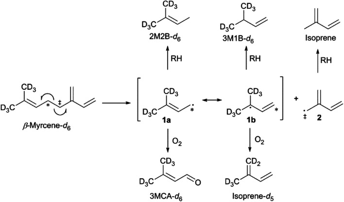 Proposed mechanism for the thermal degradation of β-myrcene-d6. The natural isotopologues of these reactions products compose ∼30% of the VOCNT observed for β-myrcene.
