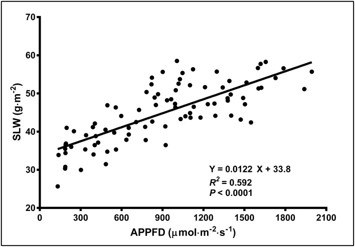 The specific leaf weight (SLW; on a dry weight basis) of young, fully-expanded Cannabis sativa ‘Stillwater’ leaves in response to the average photosynthetic photon flux density (APPFD), measured on day 35 after initiation of the 12-h photoperiod. Each datum represents one fan leaf from a single plant.