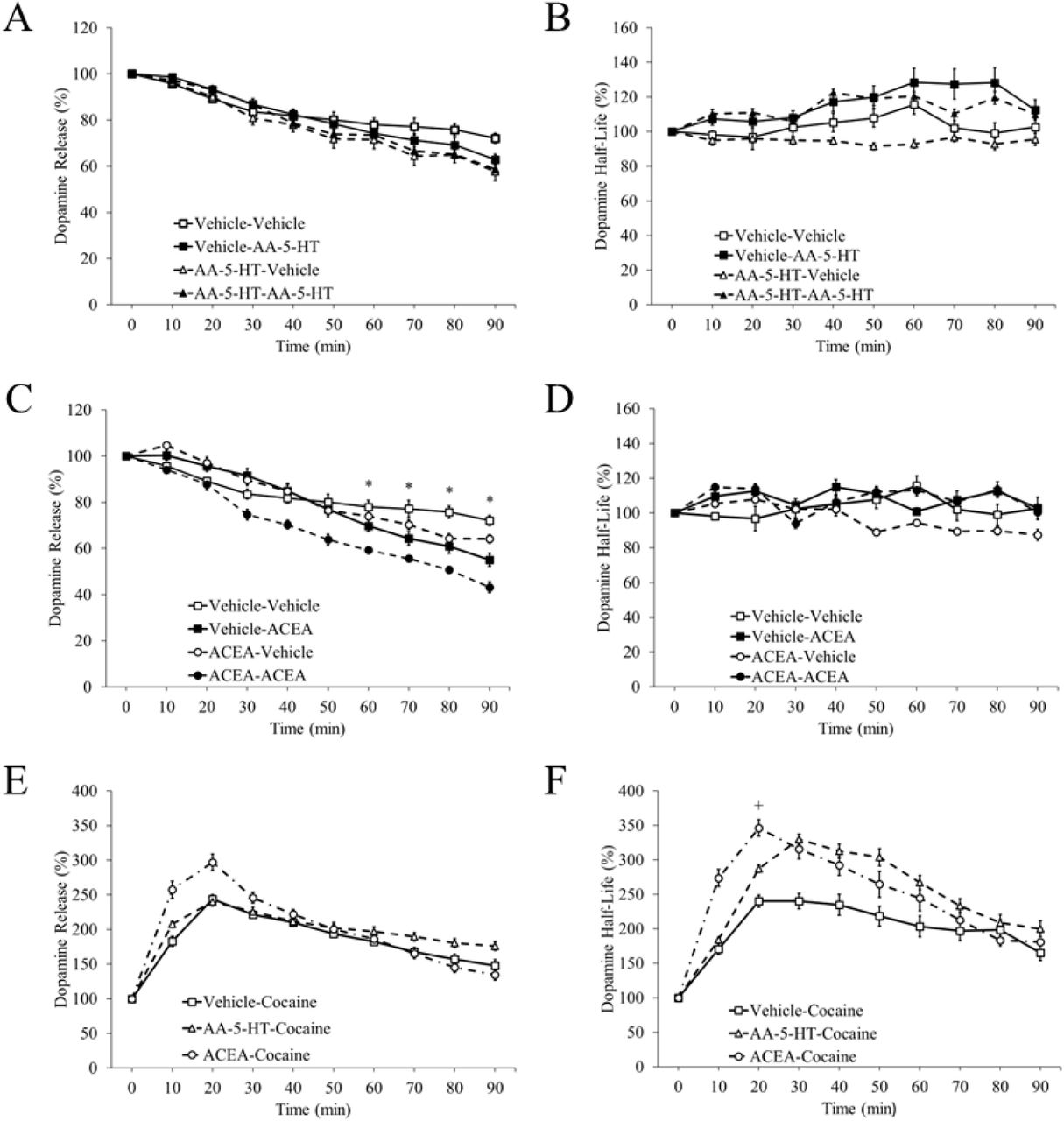 Drug Challenge Dopamine Release and Half-LifeNote. Percent change in dopamine release and half-life following drug challenges. The figure legend indicates the chronic, drug pretreatment then the drug challenge such that vehicle-vehicle represents mice that received vehicle pretreatment and vehicle drug challenge. Pretreatment of vehicle or arachidonoyl serotonin (AA-5-HT) on percent change in dopamine (A) release or (B) half-life presented as means ± SEMs. Pretreatment of vehicle or arachidonyl-2’-chloroethylamide (ACEA) on percent change in dopamine (C) release or (D) half-life presented as means ± SEMs. Percent change in dopamine (E) release and (F) half-life following cocaine administration in mice pretreated with vehicle, AA-5-HT, or ACEA. * indicates a significant difference between ACEA and vehicle challenge drug at p < .05 and + indicates a significant difference between ACEA and vehicle chronic, drug pretreatment at p < .05.