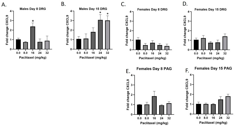 Paclitaxel increases expression of Cxcl9 in DRG (A–D) but not PAG (E,F) in male but not female C57Bl/6 mice. Mice are treated with vehicle or increasing doses of paclitaxel on Days 1, 3, 5, and 7 in a between-subjects design (n = 3–5/group). Mice are euthanized on Day 8 or 15 and tissues are harvested for RT-PCR analysis. Cxcl9 was not detected in the PAG of male mice. One-way ANOVAs with Dunnett’s multiple comparison tests; * = p < 0.05 as compared to vehicle control.